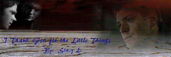 banner for I Thank God for the Little Things by Stacy L.
