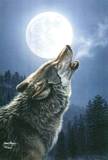 Midnightstorms wolf logo